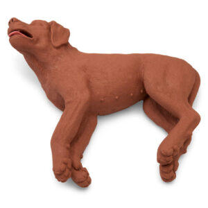 Reanimatiehond te huur